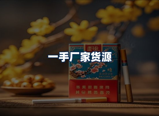 专业团队办公环境